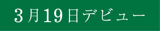 3月19日デビュー