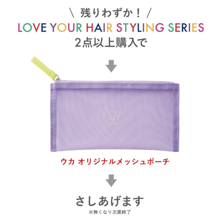 数量限定!2種以上スタイリングシリーズご購入でオリジナルのメッシュポーチをプレゼント画像